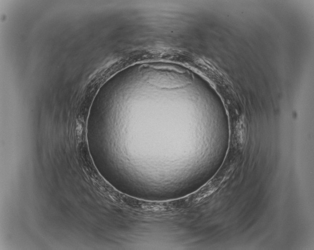 X0000085061302200703191314