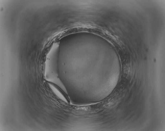 X0000085061303200703191314