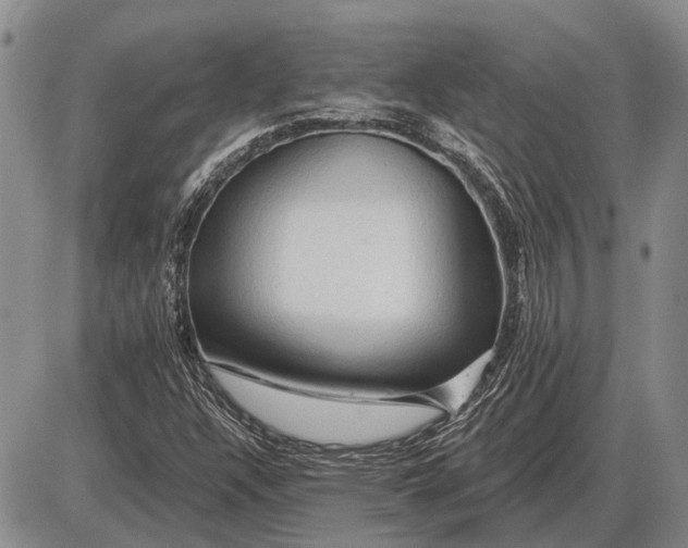 X0000085061304200703191314