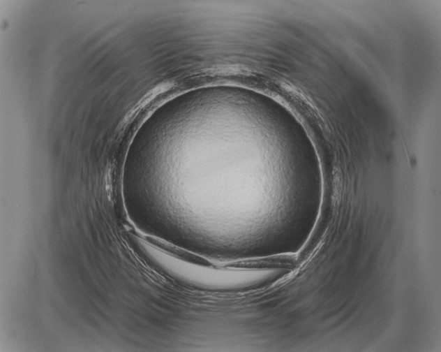 X0000085061305200703191314