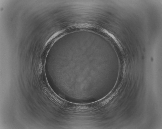 X0000085061306200703191314