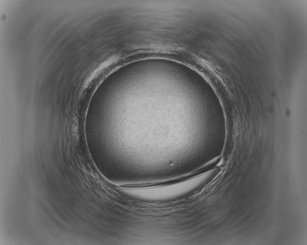 X0000085061307200703191314