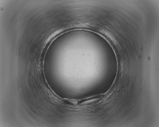 X0000085061308200703191314