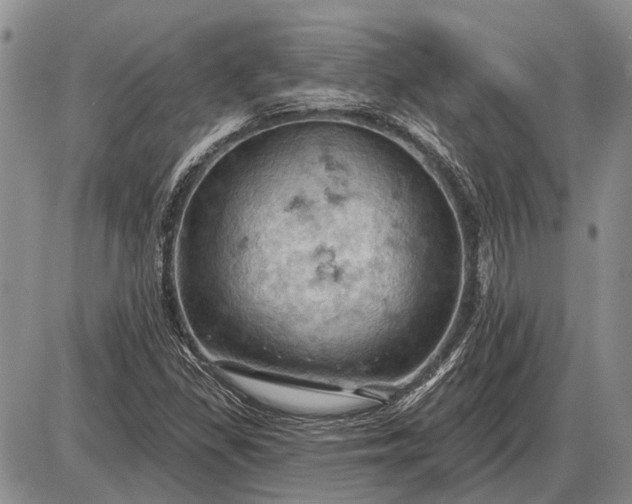 X0000085061309200703191314