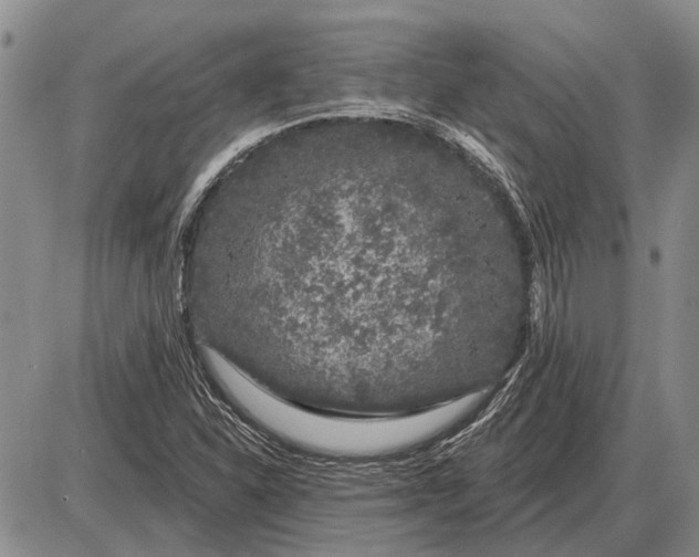 X0000085061310200703191314