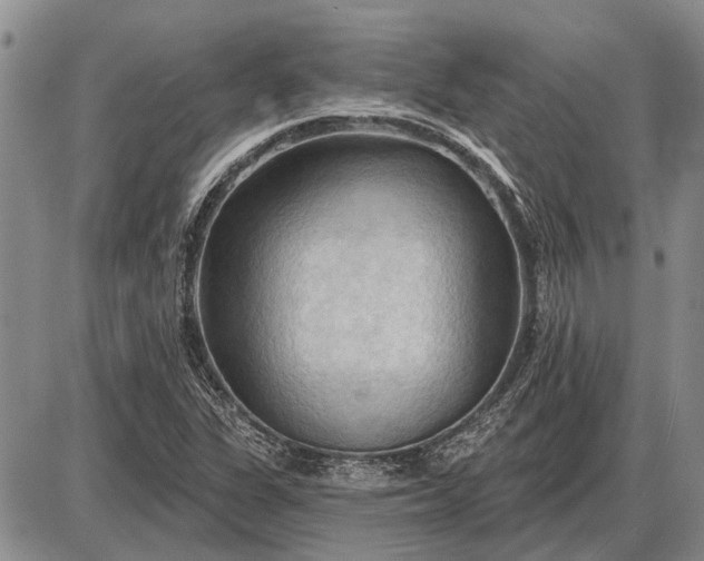 X0000085061311200703191314