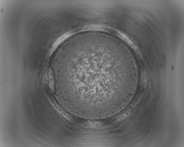 X0000085061312200703191314