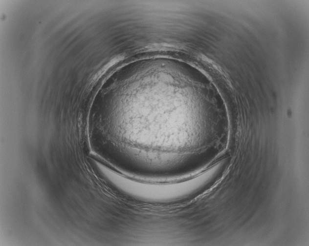 X0000085061313200703191314