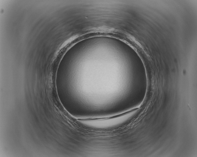 X0000085061315200703191314