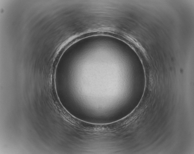 X0000085061316200703191314