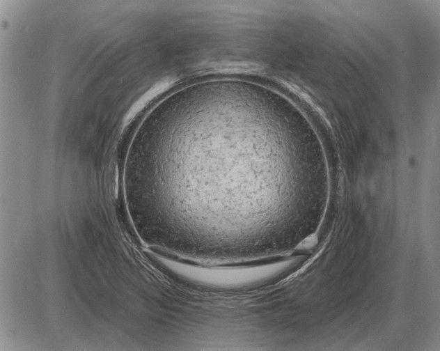 X0000085061317200703191314