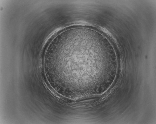 X0000085061318200703191314