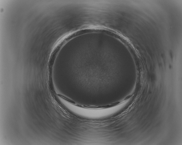 X0000085061319200703191314