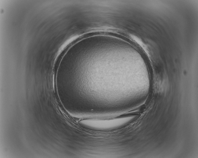 X0000085061320200703191314