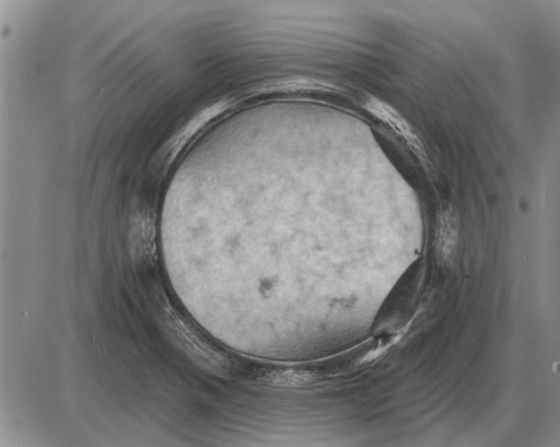 X0000085061321200703191314