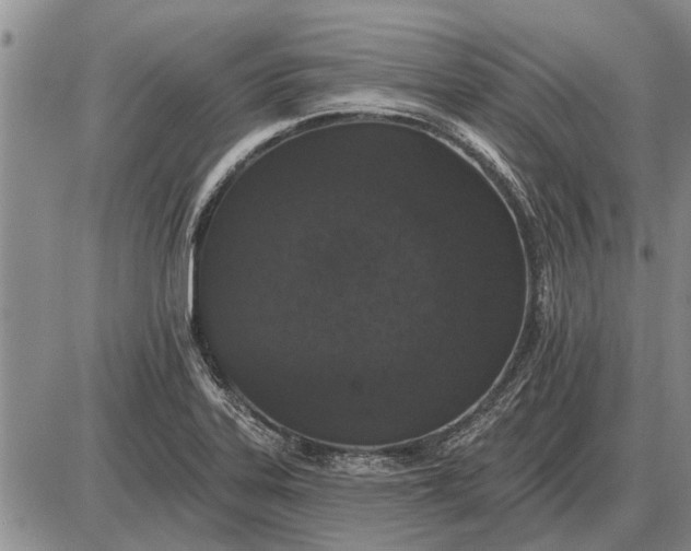 X0000085061323200703191314