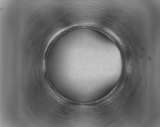 X0000085061324200703191314