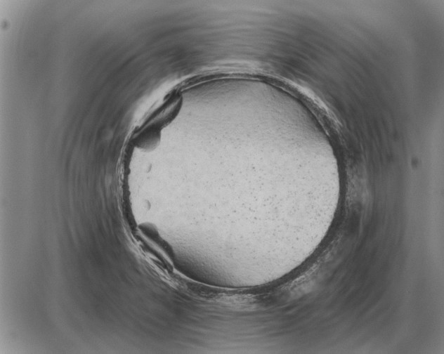 X0000085061325200703191314