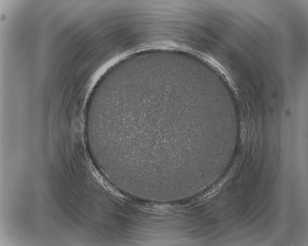 X0000085061326200703191314