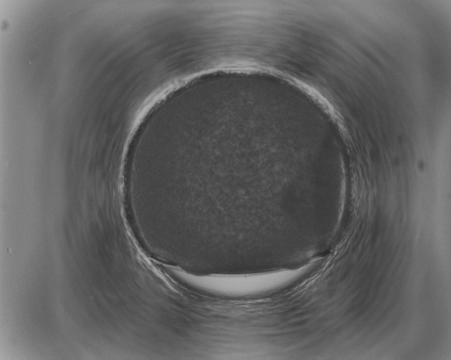 X0000085061327200703191314