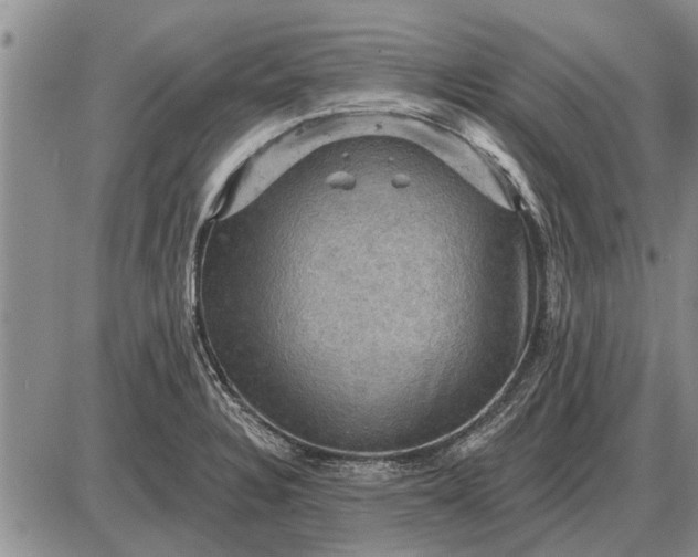 X0000085061328200703191315