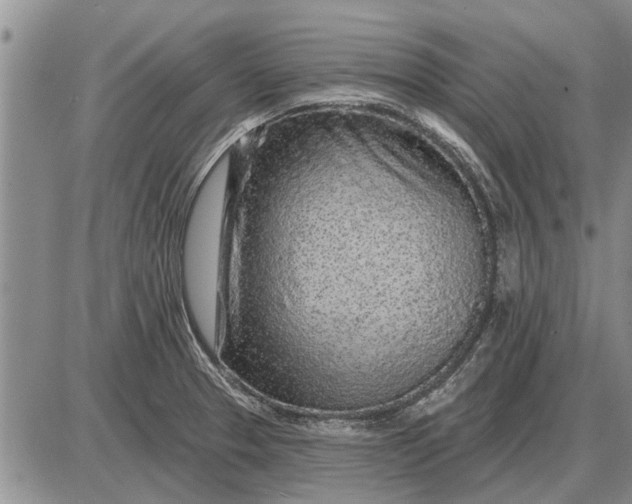 X0000085061329200703191315