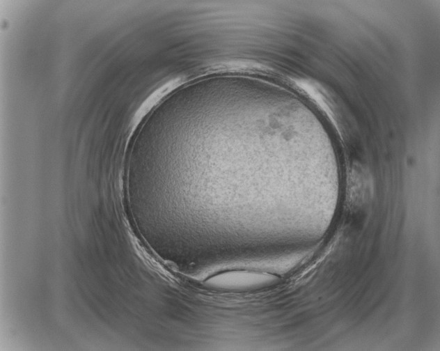 X0000085061330200703191315