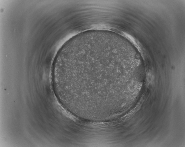 X0000085061331200703191315