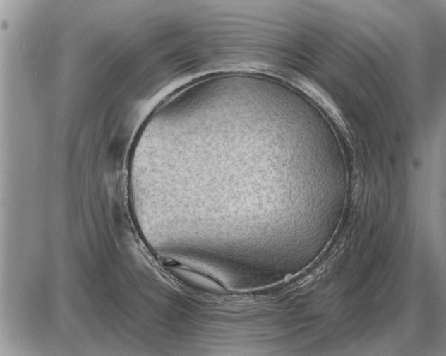 X0000085061332200703191315