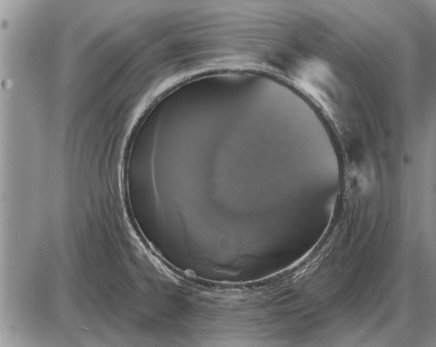 X0000085061334200703191315