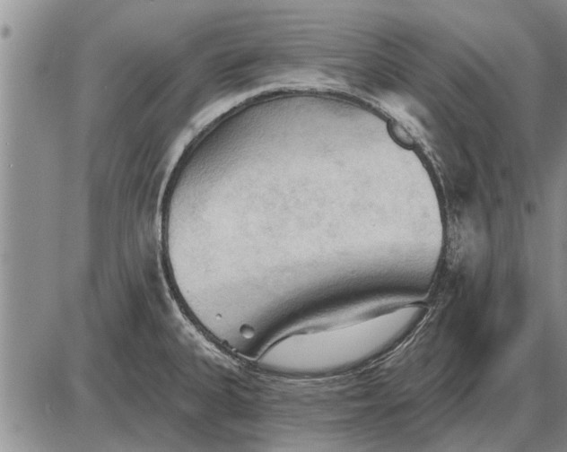 X0000085061335200703191315