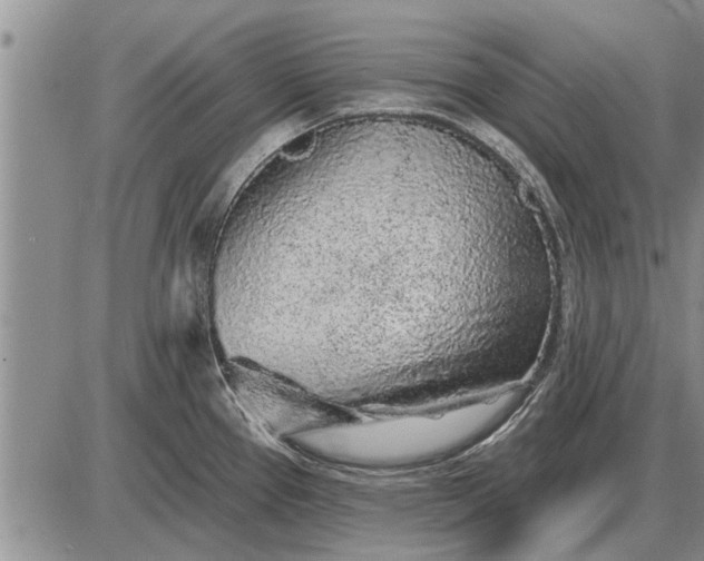 X0000085061337200703191315