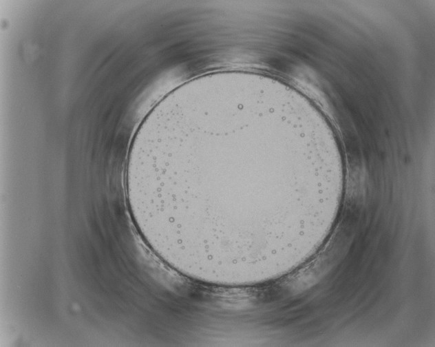 X0000085061338200703191315