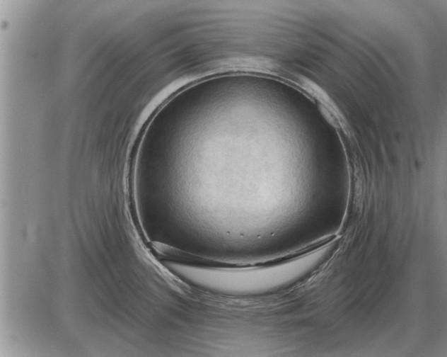 X0000085061339200703191315