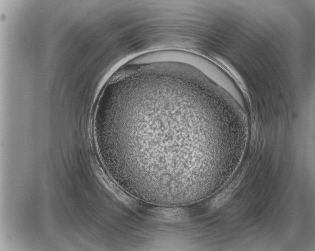 X0000085061340200703191315