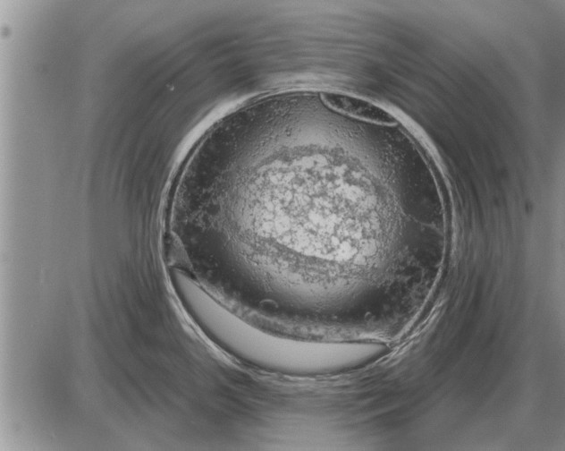 X0000085061341200703191315