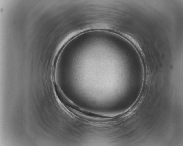 X0000085061342200703191315