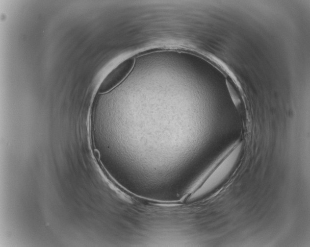 X0000085061343200703191315