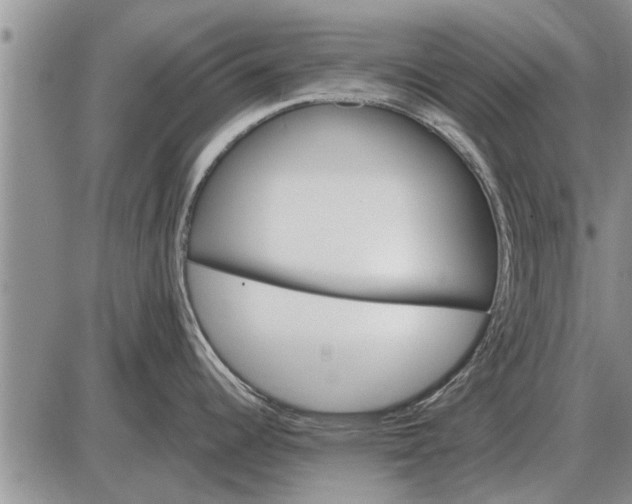 X0000085061344200703191315