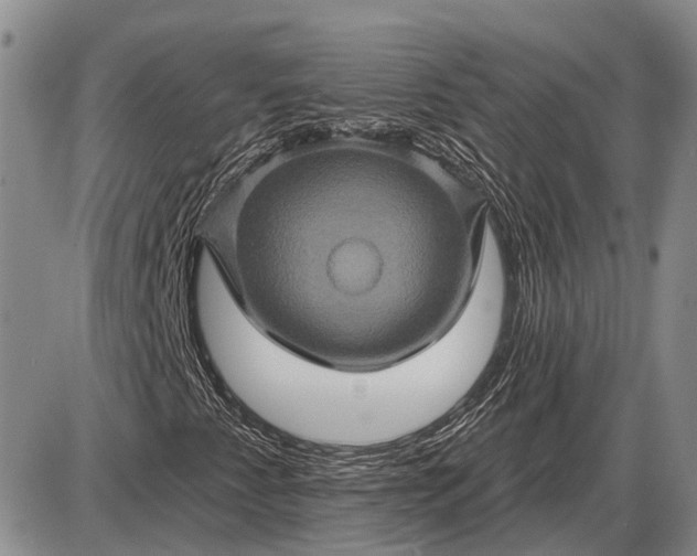 X0000085061345200703191314