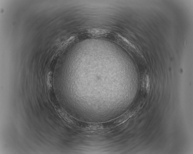 X0000085061346200703191314