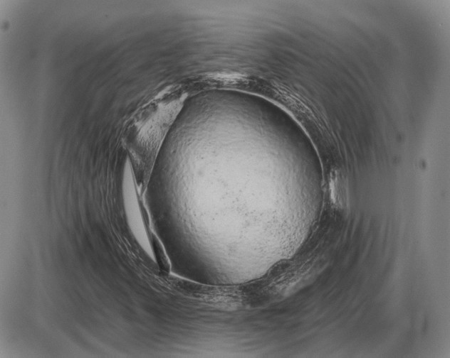 X0000085061347200703191314