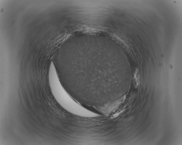 X0000085061348200703191314