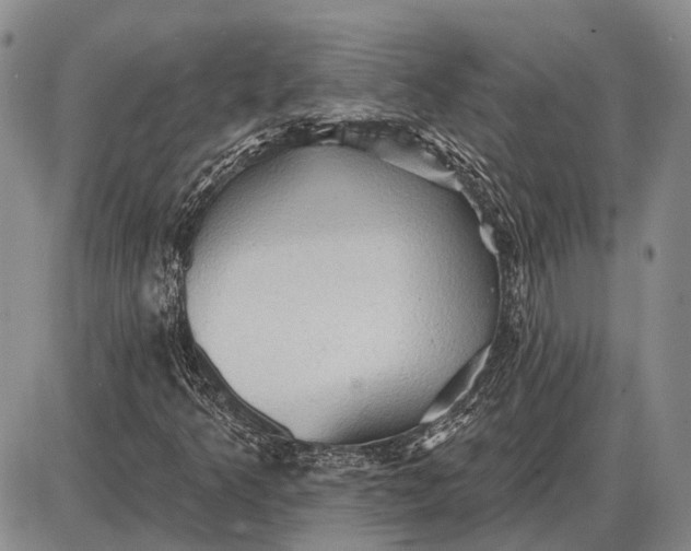 X0000085061349200703191314