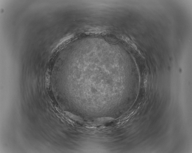 X0000085061350200703191314