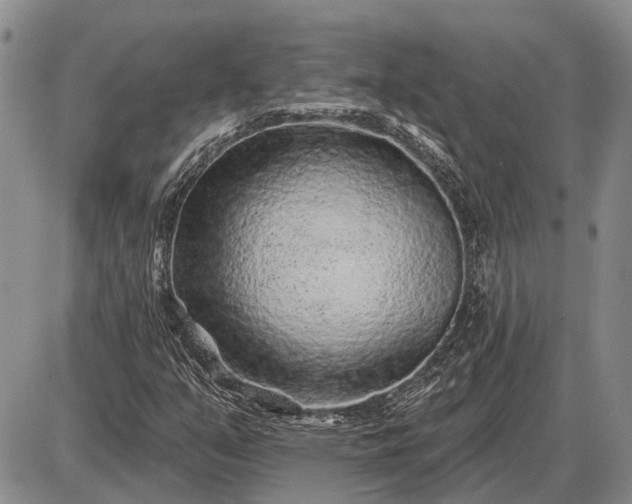 X0000085061351200703191314