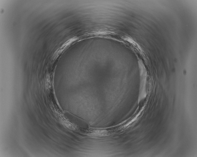 X0000085061353200703191314