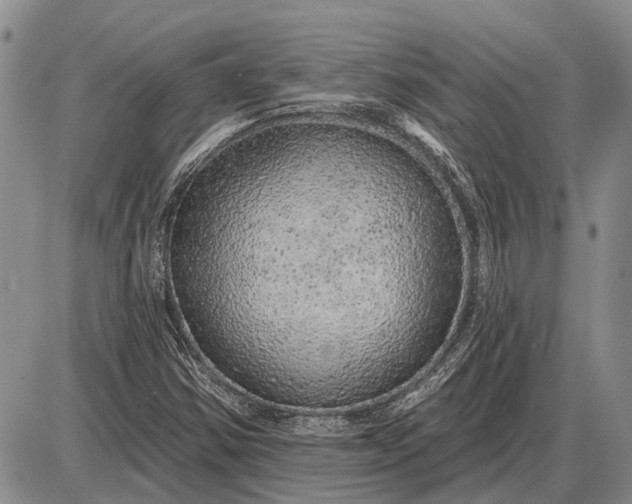 X0000085061354200703191314