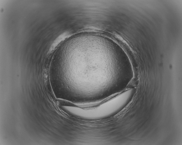 X0000085061355200703191314