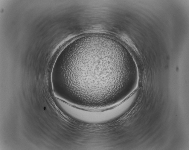 X0000085061356200703191314